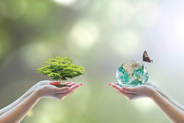 enablegreen-climate-change-jobs-hands-holding-tree-and-earth