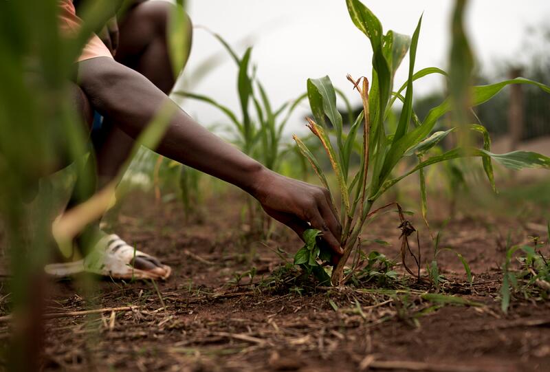 enablegreen-ethical-trade-jobs-african-farmer-seeding-plant