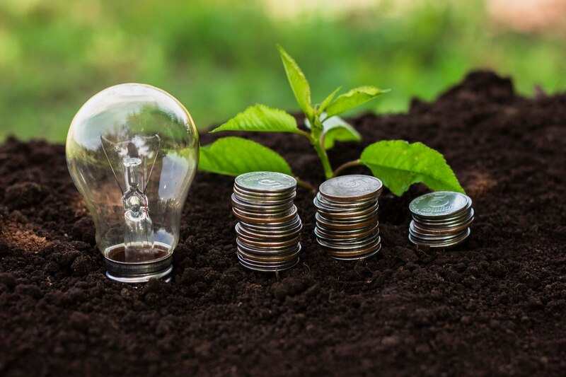 enablegreen-sustainable-finance-jobs-light-bulb-over-grass-roots-stacking-coins
